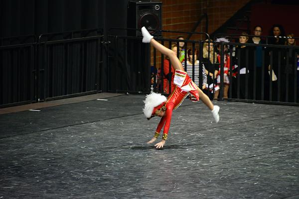 20151121Tanztunier der Karnevalisten __15.jpg - Sa. 21.11.2015,Hannover (Foto:Herbert Frost)